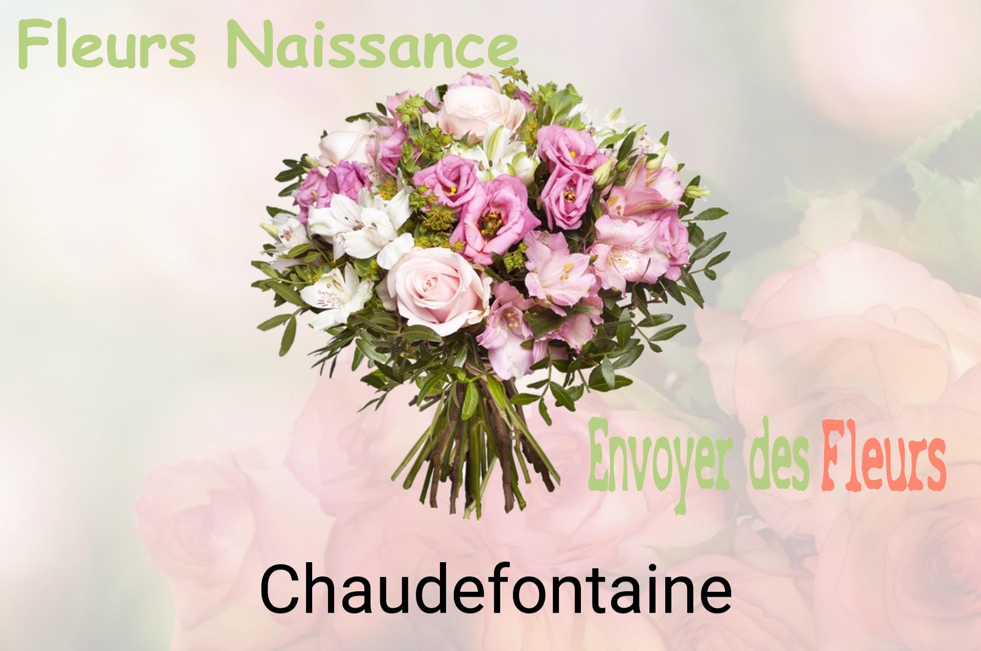 Bouquet de fleurs de naissance livré à Chaudefontaine